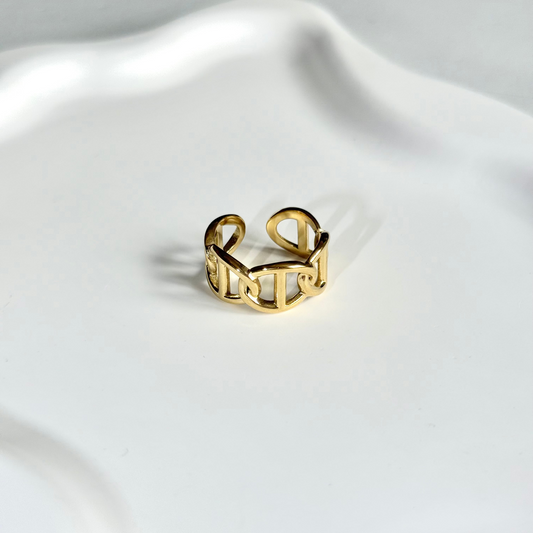 Bague iona acier inoydable